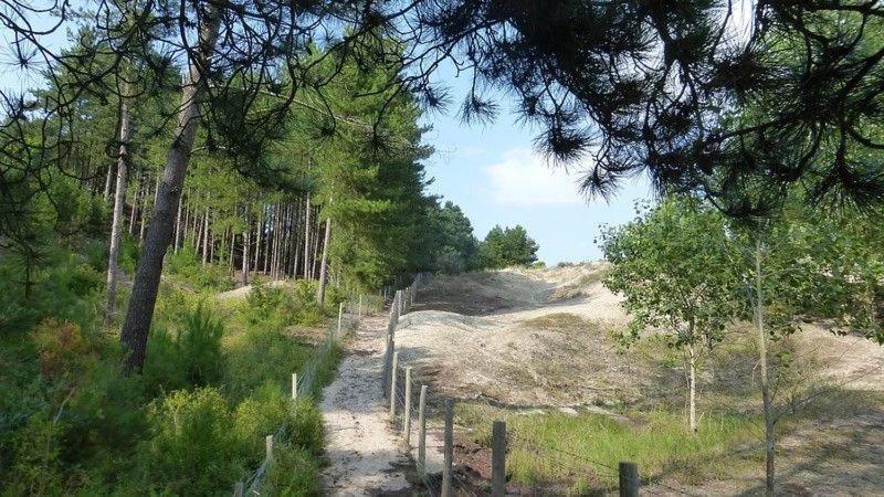 Hamac - Vue Mer - 100M Plage Berck Екстер'єр фото